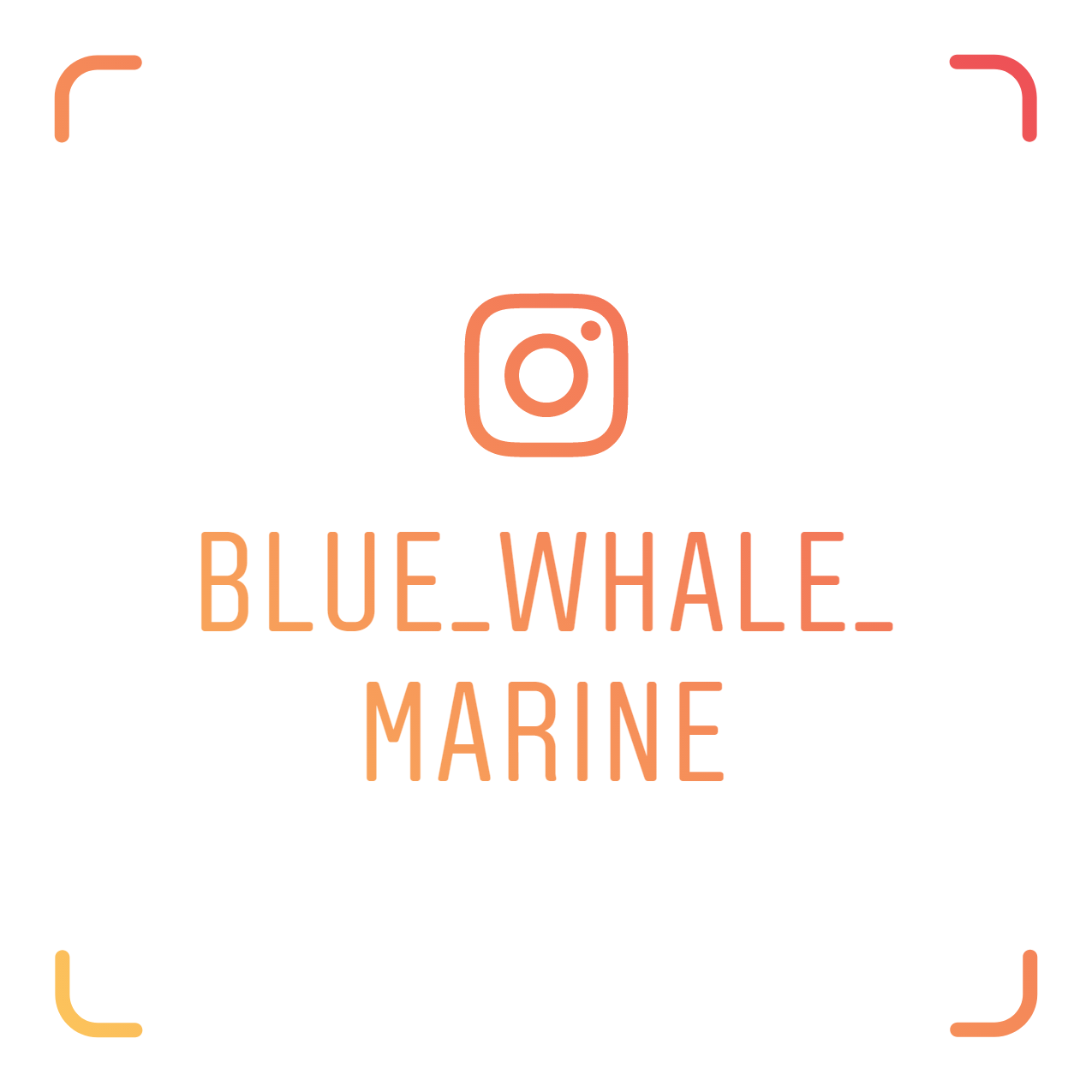 Blue Whale Marine